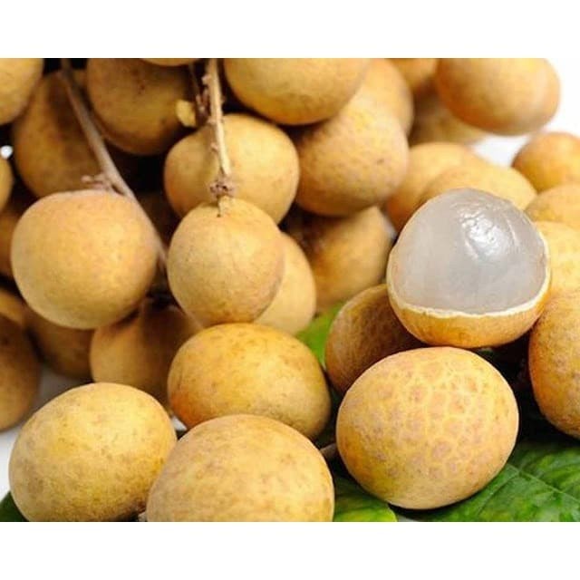 

Gg1Hh Buah Kelengkeng 250G s1Gkk