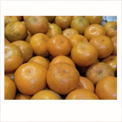 

Buah Jeruk Lokal | Buah Segar | 1Kg | Pasar Induk Pekanbaru #Harga_Grosir