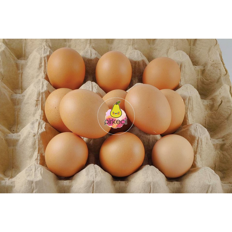 Telur  Ayam  Telor Ayam  1  2 kg  Shopee Indonesia
