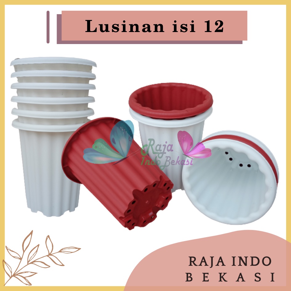 Rajaindobekasi Lusinan 12pcs Pot Swiss 18 Putih Bening Transparan Hitam Merah Bata Merah Coklat Terracota Terracotta Mirip Lusinan Pot Yogap Ypt 18 Putih Coklat Merah Bata Bening Transparan Pot Yogap 17 18 19 Pot Yogap Murah Pot Bunga Tinggi Pirus Tebal