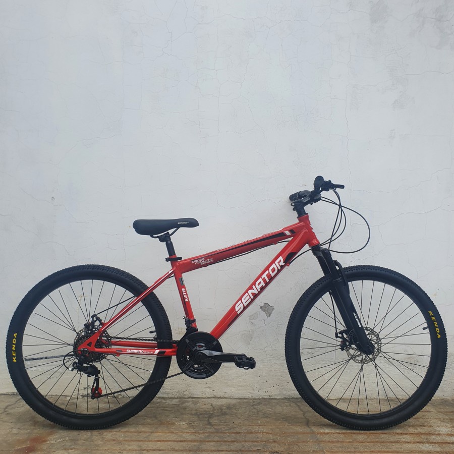 Sepeda MTB Senator Elite SF Disc 24 inch Sepeda Gunung