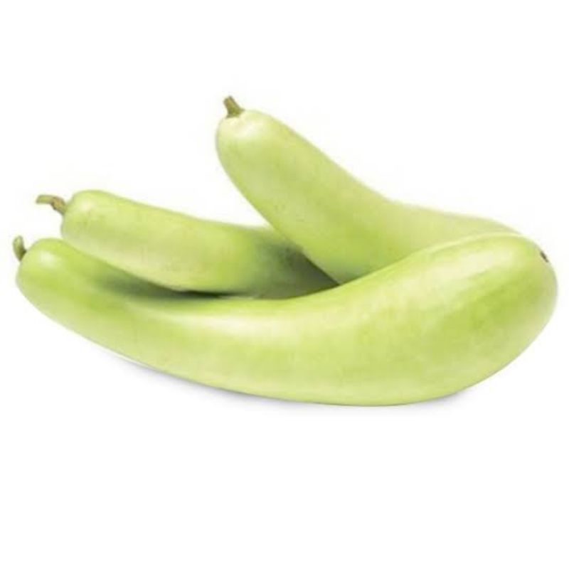 

Labu air/labu putih 1buah | sayur