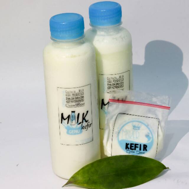 

Susu kefir kambing etawa