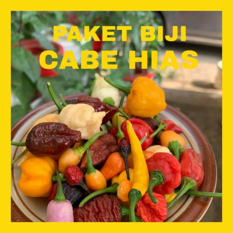 PAKET BENIH CABE HIAS