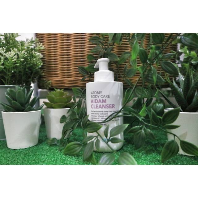 Aidam Cleanser Atomy