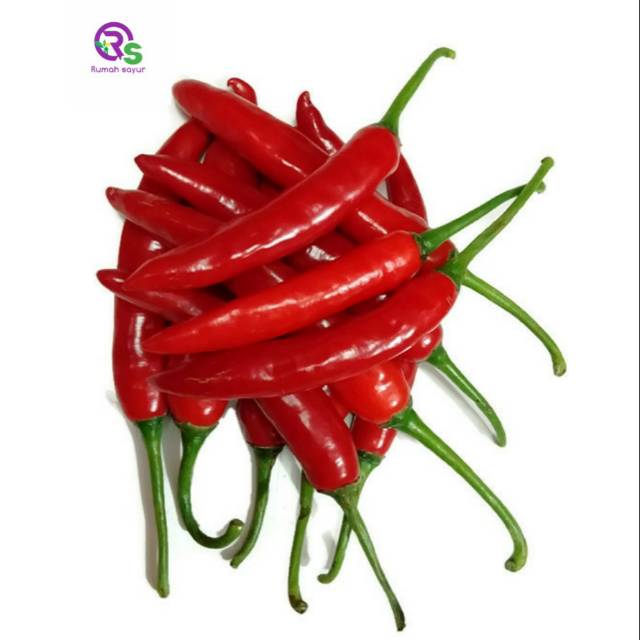 

Rumah Sayur Cabe Merah Besar TW 1 kg - Cabe TW - Sambel - Cabe Besar