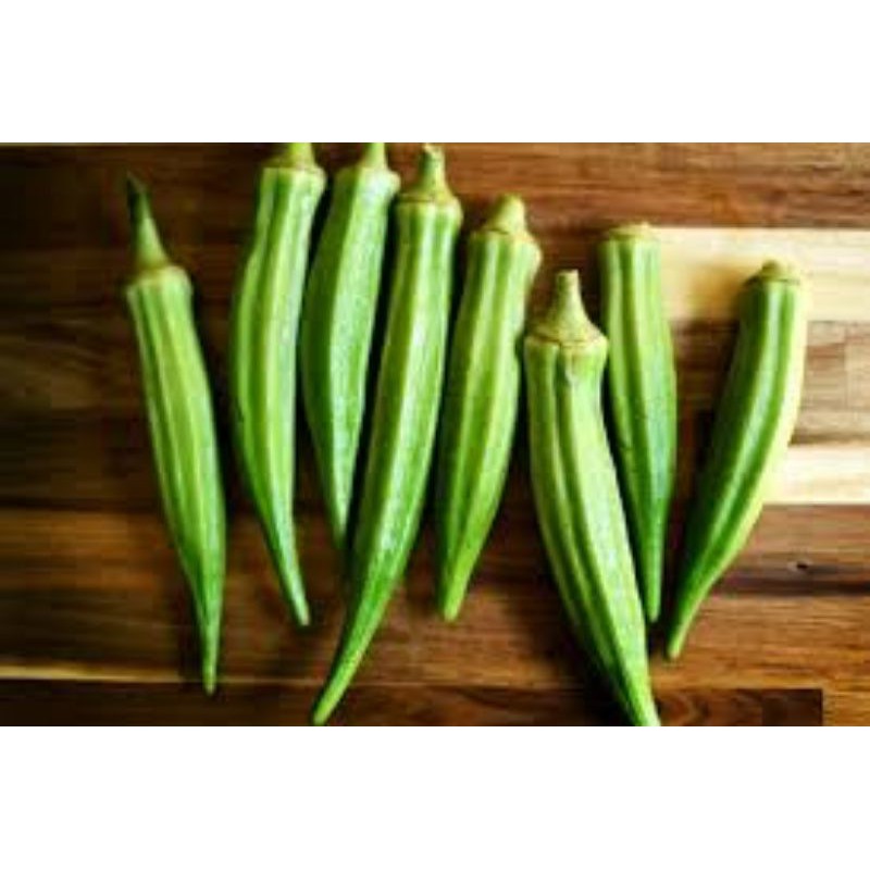 

OKRA HIJAU/NIURAME