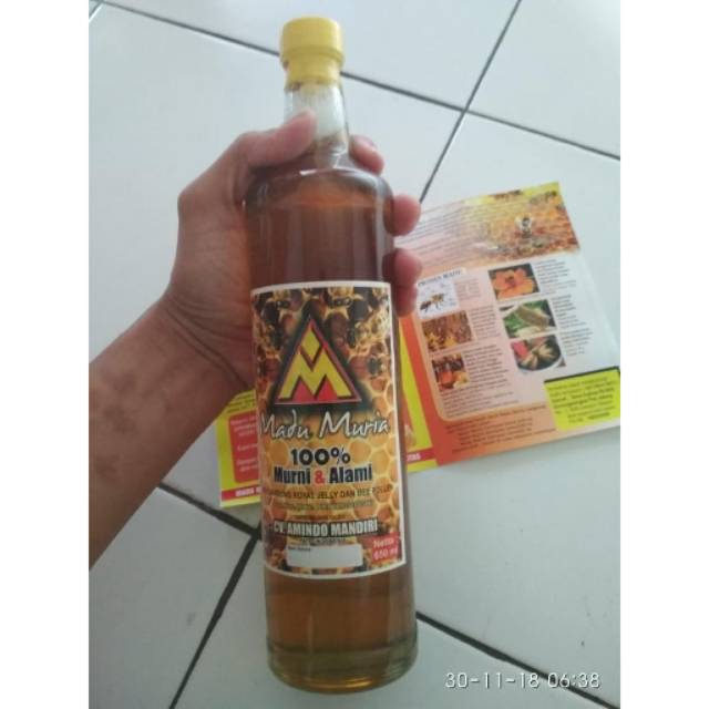 

Madu muria asli