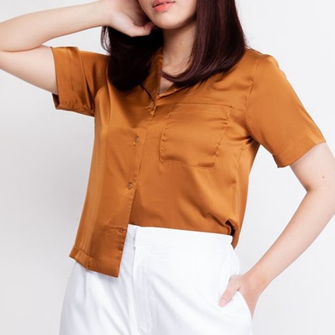 Kemeja Blouse Wanita/Kemeja Buttondown/Kemeja Silk Premium/Kemeja Sutra Premium/Kemeja Satin Premium