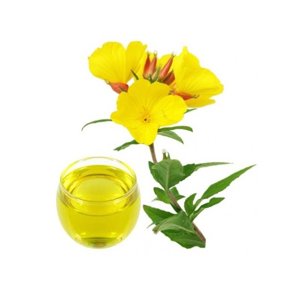 Evening Primrose Oil 500mL - Minyak Evening Primrose 500 mL - Cosmetic Grade