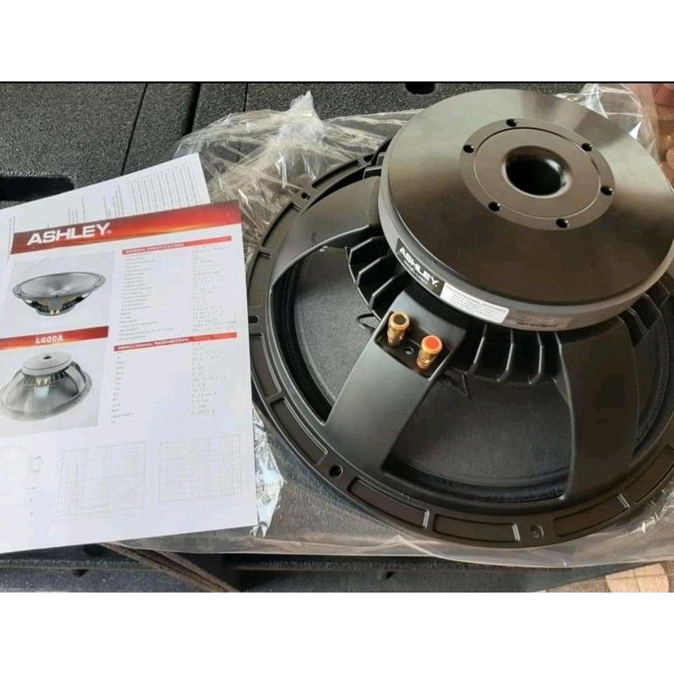SPEAKER COMPONEN ASHLEY L600A  ORIGINAL 15 INCH