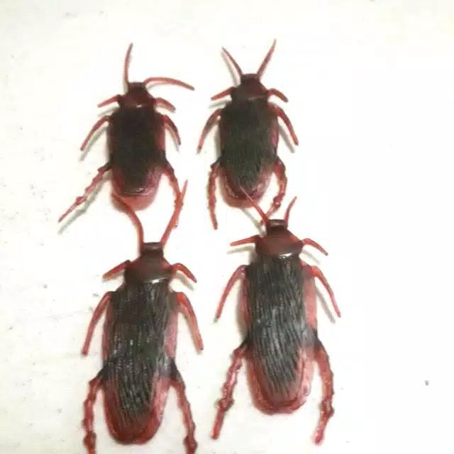 Kecoa Palsu Kecoak Mainan Mirip Asli untuk prank cockroach Toys gag