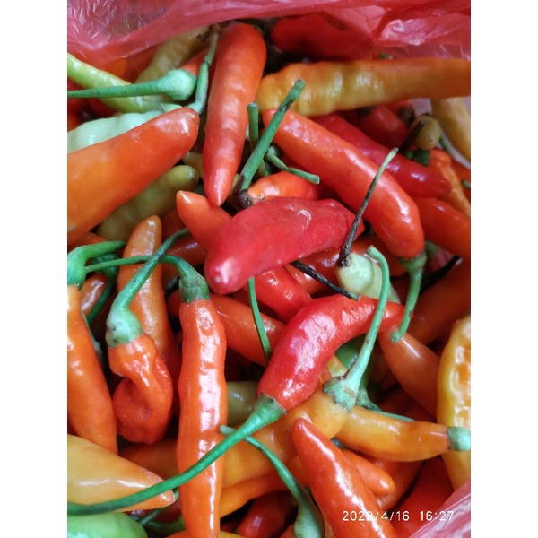 

cabe rawit 500gr