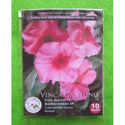 Benih Biji Bunga Vinca Gantung Curly Apricot F2 Pack - Als Garden
