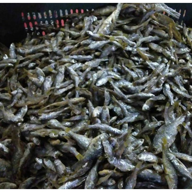 

ikan bilih goreng singkarak 1/2kg