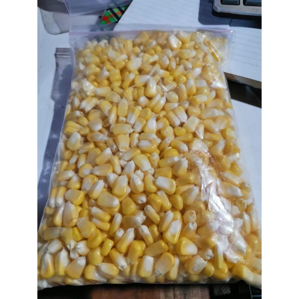

JAGUNG FRESH PIPILAN