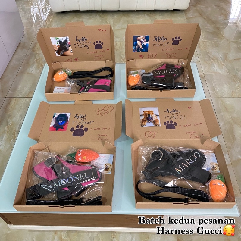 Harness Tali Anjing Kucing custom nama reflective leash import patch untuk pet dog besar jumbo kecil