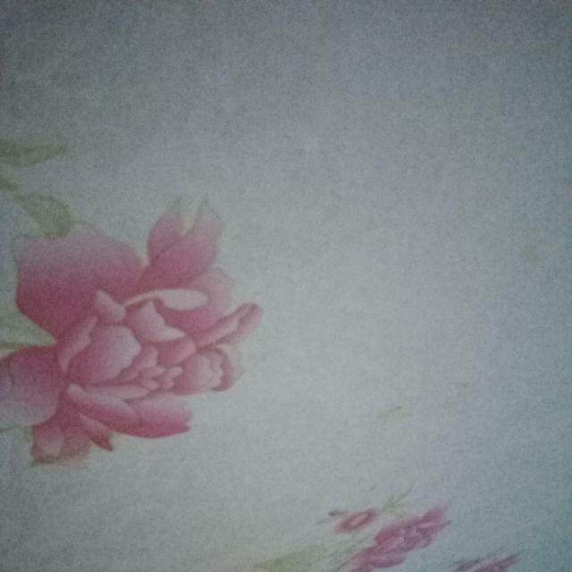 (bisa Cod) Setelan Kebaya Set Hanny