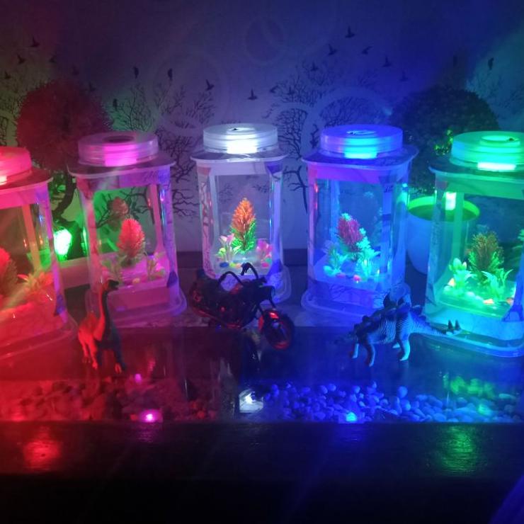 Paling Dicari.. Aquarium Ikan Cupang Hias Mini Bentuk Persegi Hiasan Kamar Tidur Lampu Warna Akuariu