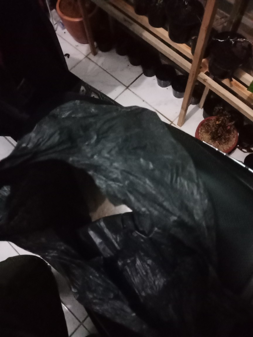 Obat Anti Semut Dan Kecoa Miejiqing