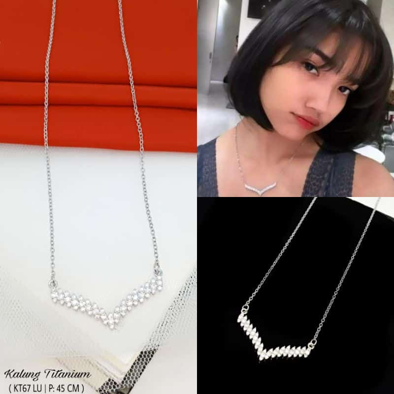 kalung titanium fuji anti karat/ kalung titanium model terbaru model korea fuji virai anti karat