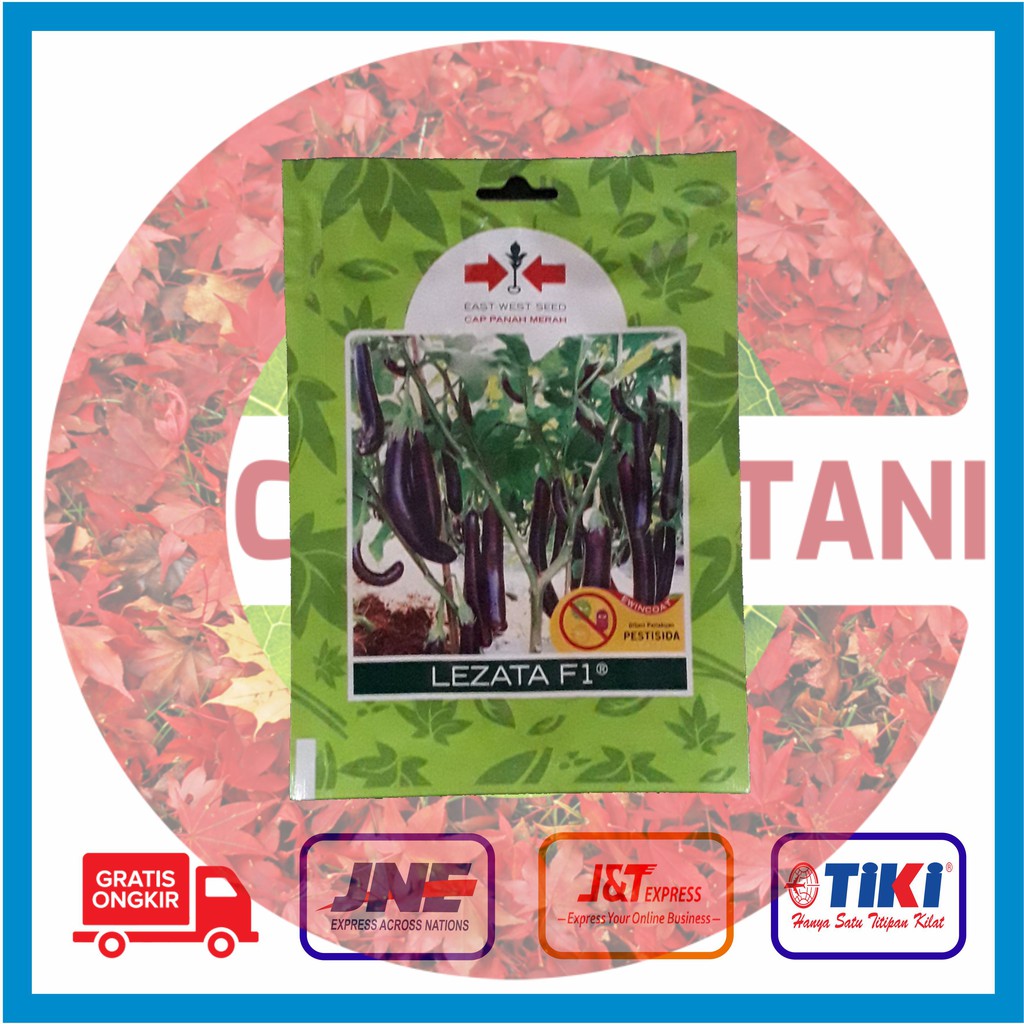 Benih Terong Ungu Lezata @ 400 butir