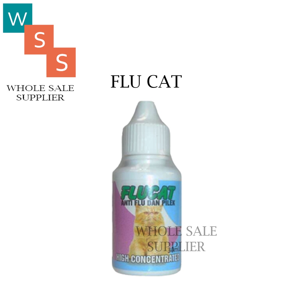 OBAT FLU CAT UNTUK KUCING