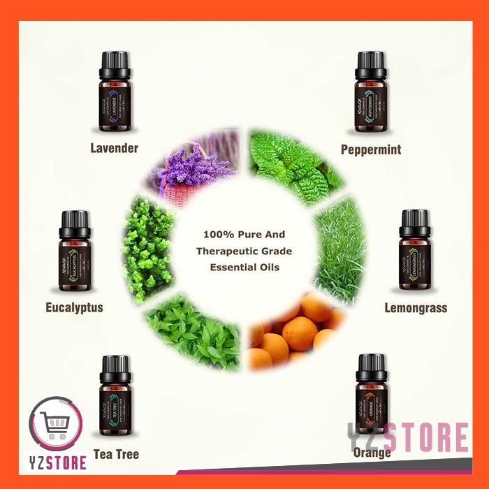 Essential Oil Aroma Terapi Aromatherapy Pengharum Ruangan Pure Diffuser 10ml 6PCS YZ76