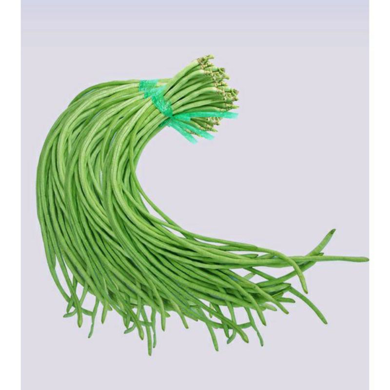 

sayur sayuran kacang panjang