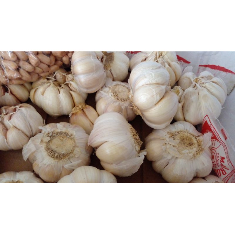 

bawang putih bukan kating 1/2kg