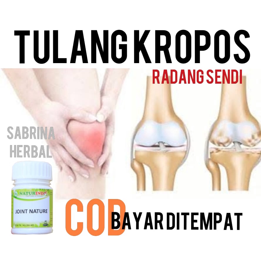 

Obat Herbal Naturindo PENGAPURAN SENDI /RADANG , PENGAPURAN TULANG, TULANG KEROPOS, OSTEOPOROSIS COD