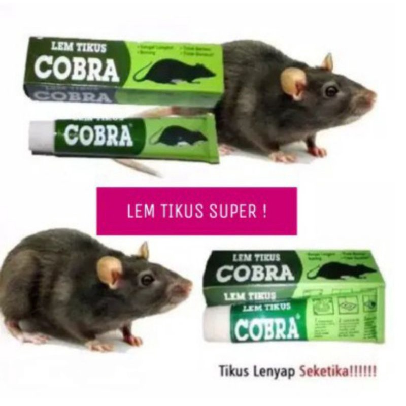 

LEM JEBAKAN TIKUS/LEM TIKUS SUPER AMPUH/LEM COBRA/PERANGKAP TIKUS/MOUSE TRAP/