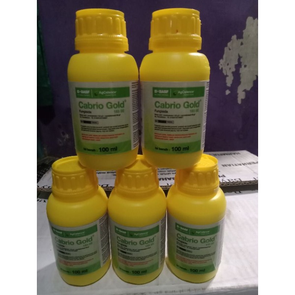 Cabrio gold