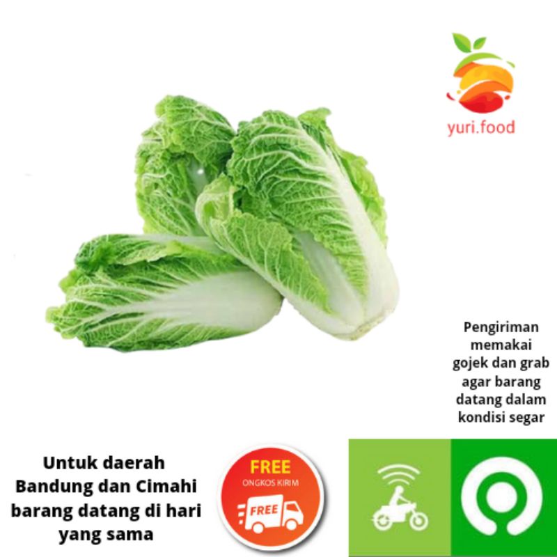 

Sawi Putih 500 gram/ 1 buah (Cimahi satu hari sampai)