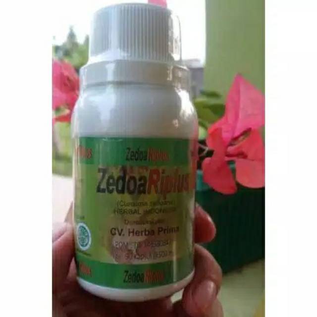 Zedoariplus zedoa riplus asli