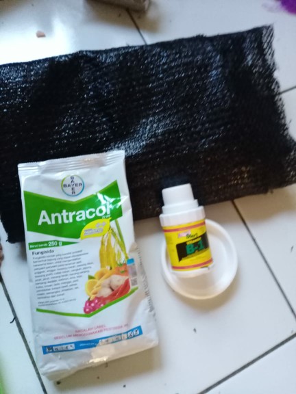 Paranet (65%-75%) Lebar 3 Meter