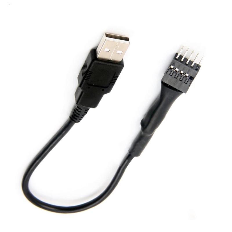 Btsg Kabel Adapter USB 9-Pin Male Ke Single USB Tipe A Male