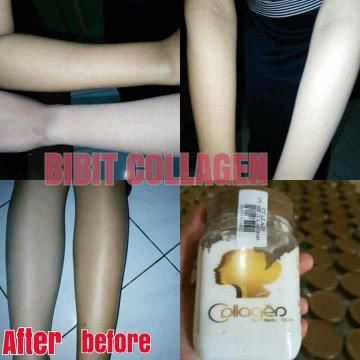 Bibit Collagen Lotion Pemutih Tubuh Permanen Shopee Indonesia