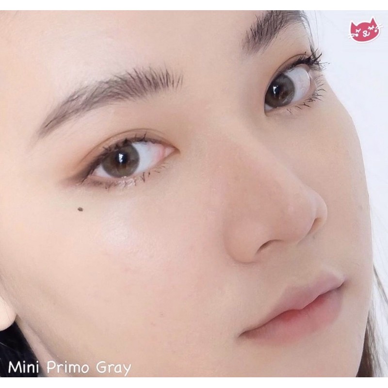 softlens mini primo gray grey brown kitty kawaii original korea