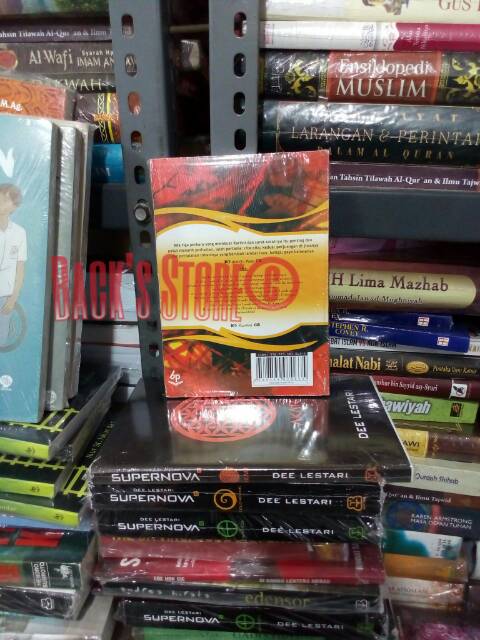 Buku Novel Habis Gelap Terbitlah Terang R A Kartini By Armijn Pane Shopee Indonesia