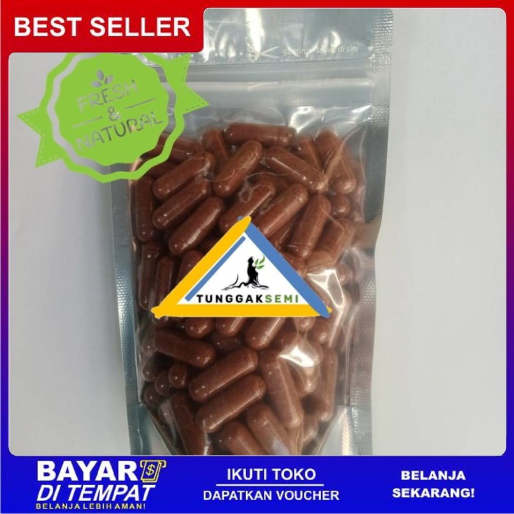 Ts Murah KAYU MANIS 100 Kapsul Herbal Diabetes PMS Parkinson Anti Aging Rematik