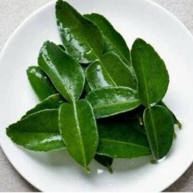 

Daun jeruk 10gr