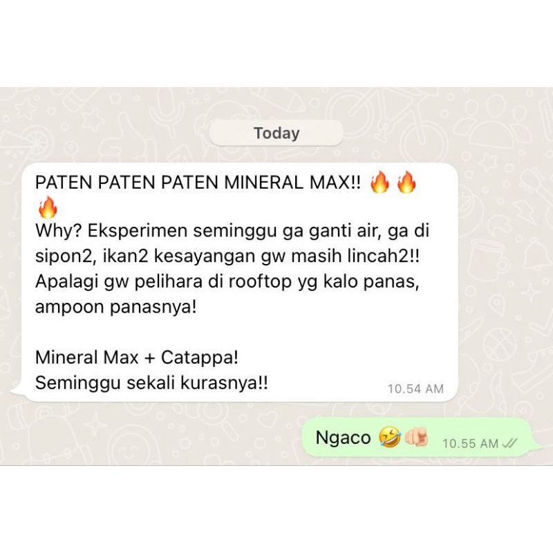 ISHCO MINERAL MAX - HIGH MINERAL KALSIUM VITAMIN OBAT IKAN CUPANG / CHANNA
