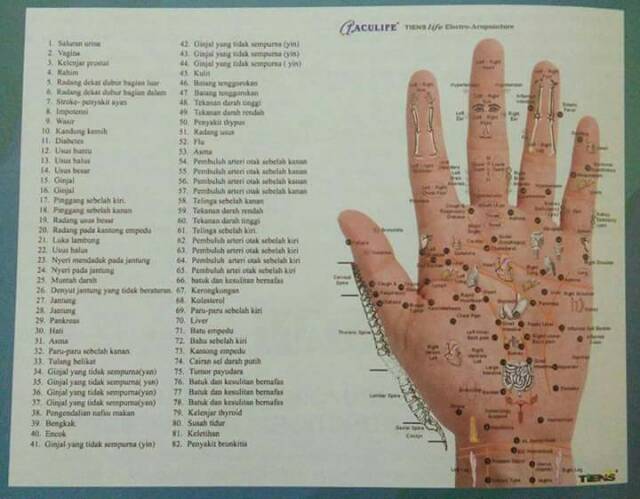 Alat Cek Kesehatan Seluruh Penyakit Dari Telapak Tangan Hanya Dalam 3 Detik Kartu Diskon Tiens Shopee Indonesia
