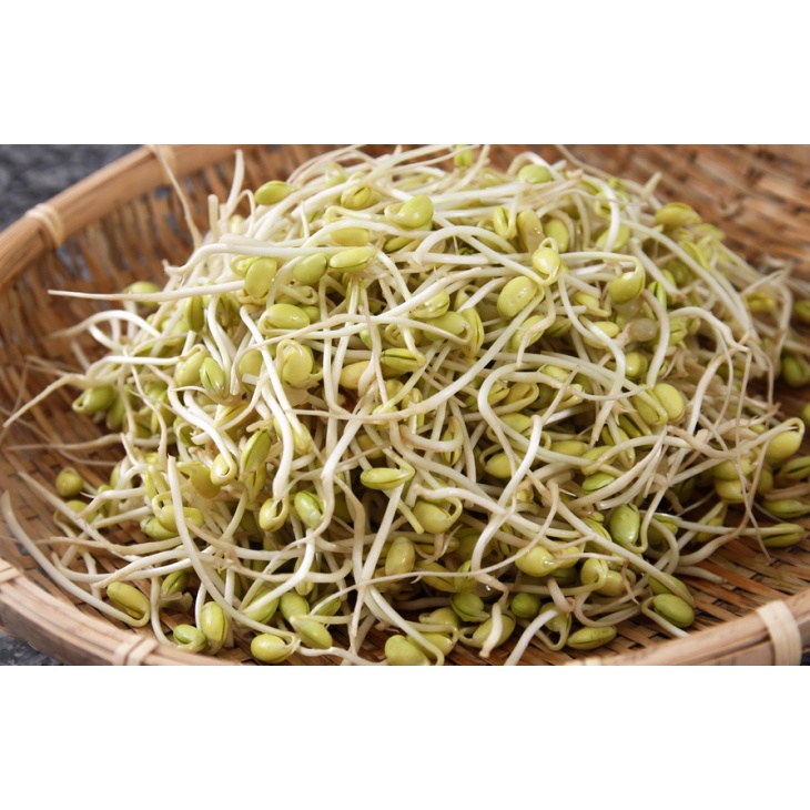 

PASAR ONLINE MURAH - TOGE KEDELAI 100GR