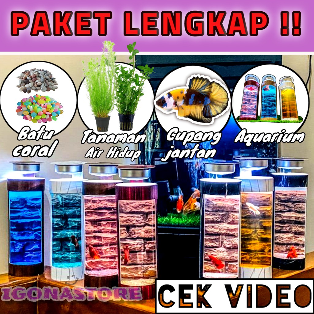 PAKET LENGKAP AQUARIUM IKAN CUPANG HIAS MINI LED tempat ikan cupang wadah ikan cupang Dekorasi