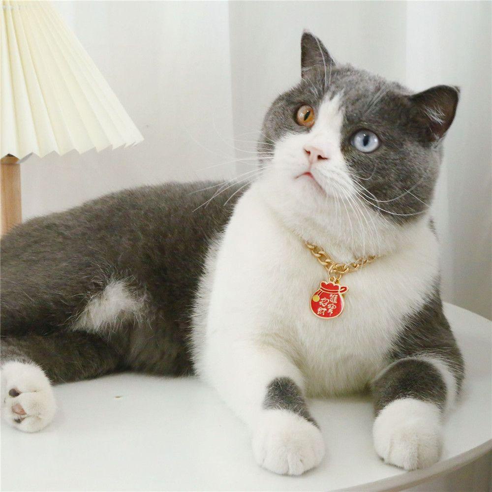 Suyo Kalung Rantai Warna Emas Untuk Anjing / Kucing