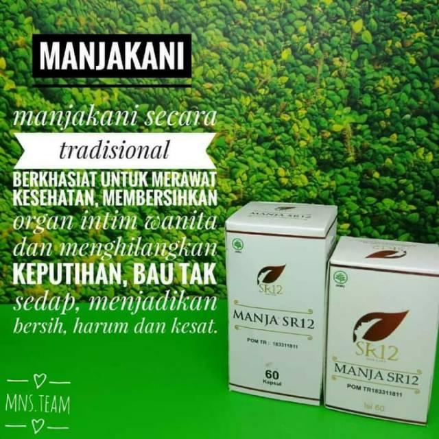 Obat herbal kewanitaan manjakani pil SR12 BPOM ORIGINAL