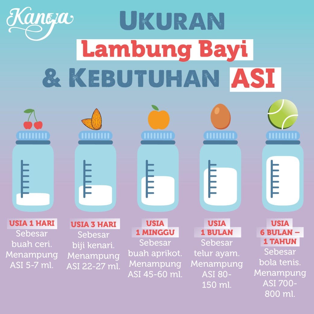 Sleek Cairan Pencuci Botol Refill 450 Ml