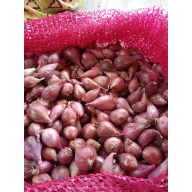 

Bawang Merah Asli Brebes Ukuran Sedang